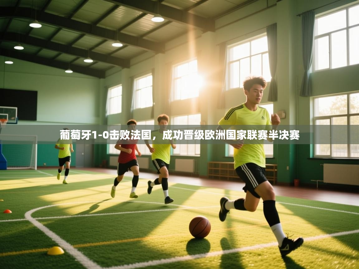 开云体育直播平台-葡萄牙1-0击败法国,成功晋级欧洲国家联赛半决赛 第4张