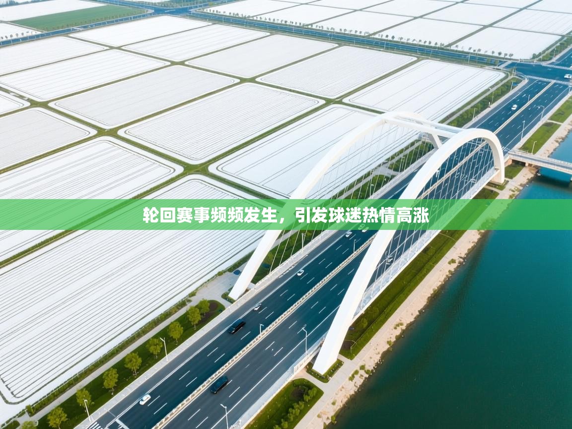 开云体育入口-轮回赛事频频发生，引发球迷热情高涨  第3张