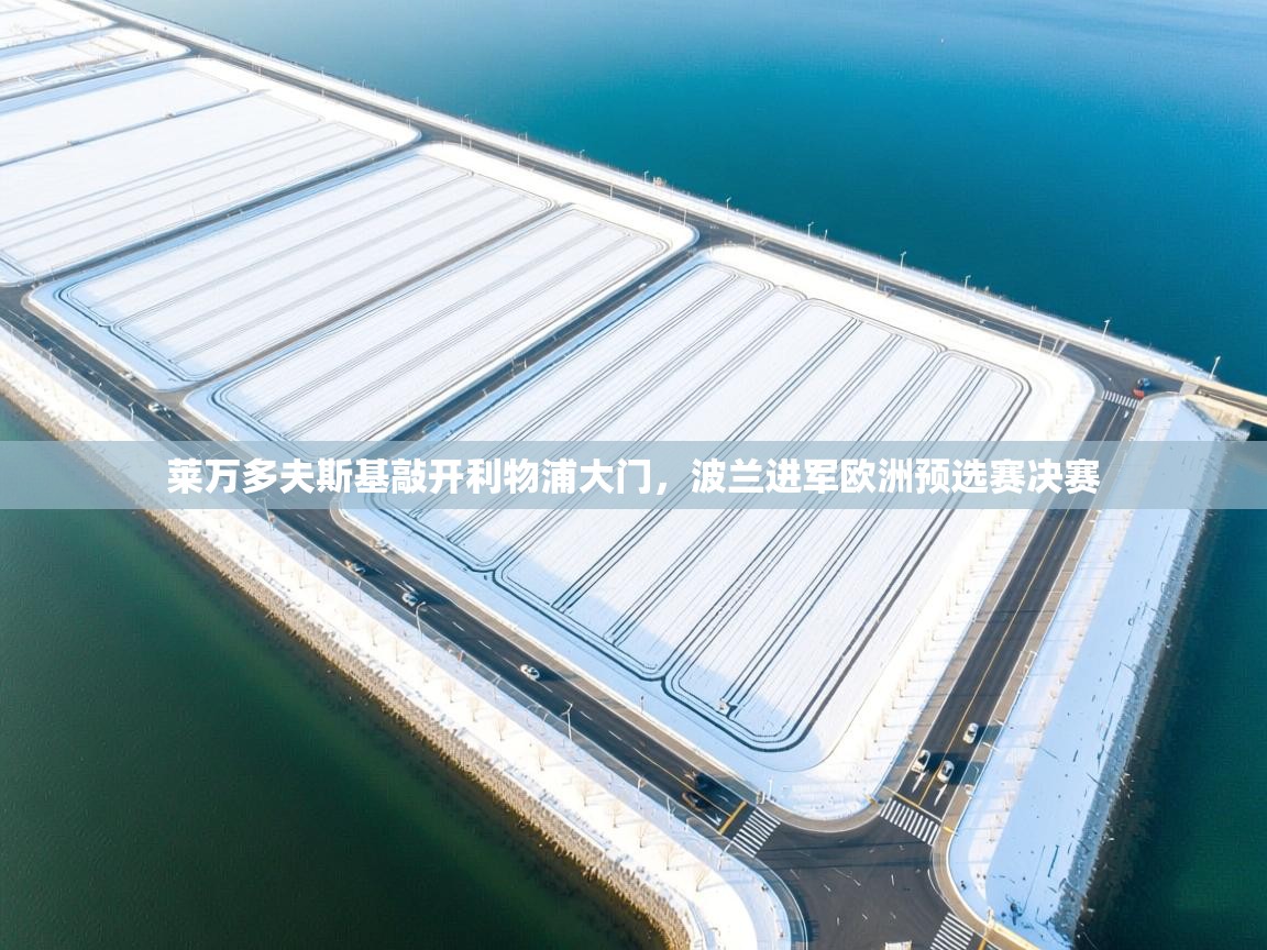 开云体育登录入口网址-莱万多夫斯基敲开利物浦大门,波兰进军欧洲预选赛决赛 第1张