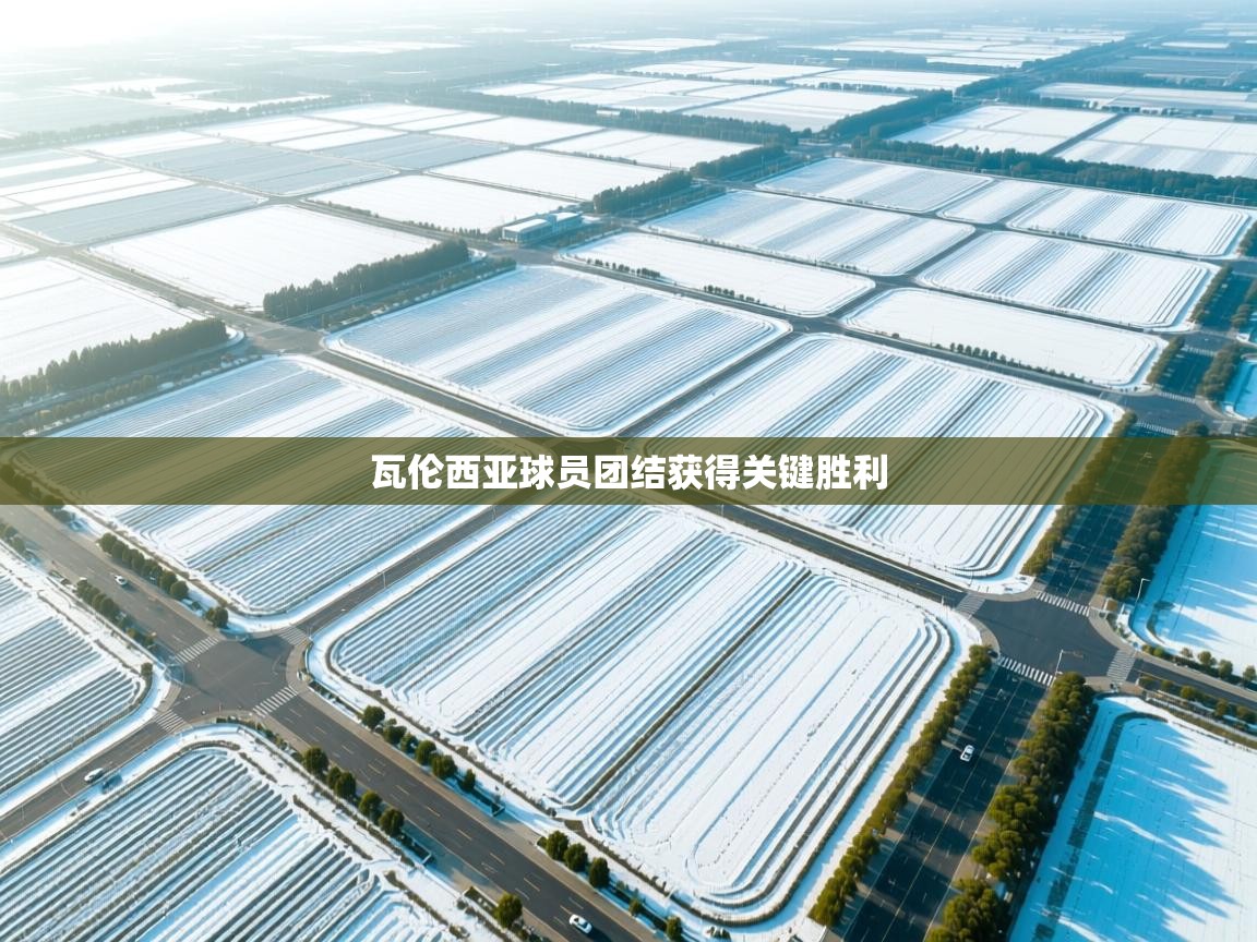 开云体育app官网入口-瓦伦西亚球员团结获得关键胜利  第1张