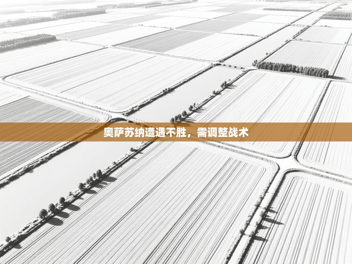 开运体育登录入口-奥萨苏纳遭遇不胜，需调整战术  第1张